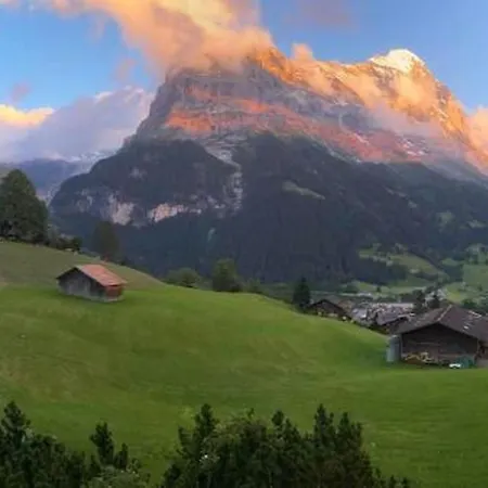 Barbara By Interhome * جريندلوالد