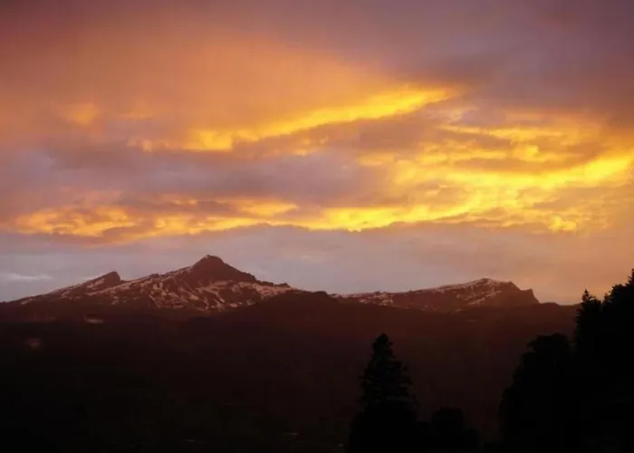 Barbara By Interhome Lejlighed Grindelwald