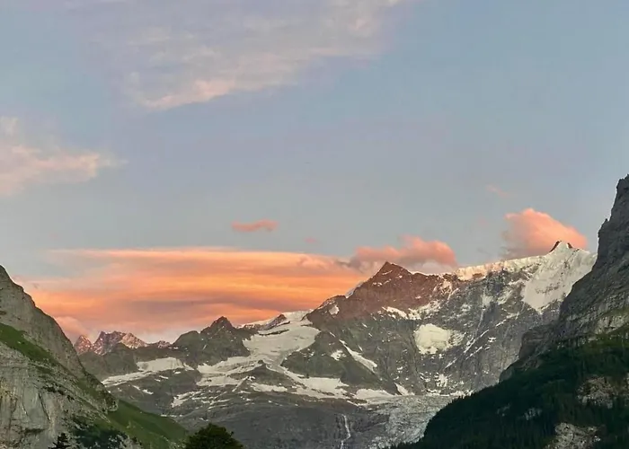 Lejlighed Barbara By Interhome Grindelwald