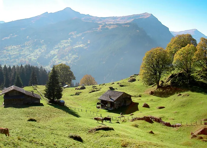 Barbara By Interhome Apartment *