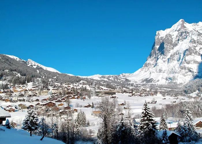 Apartament Barbara By Interhome Grindelwald
