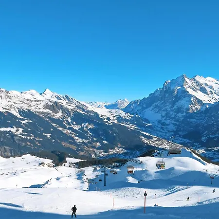 Lägenhet Barbara By Interhome Grindelwald